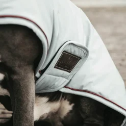 Sale Kentucky Dogwear - Manteau Imperméable réfléchissant Dusty Blue 160g Argent