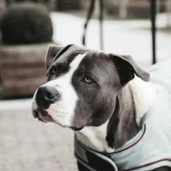 Sale Kentucky Dogwear - Manteau Imperméable réfléchissant Dusty Blue 160g Argent