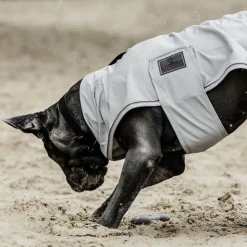 New Kentucky Dogwear - Manteau de pluie 0g Argent