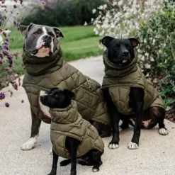 Hot Kentucky Dogwear - Manteau pour chien Pina kaki 160g Vert