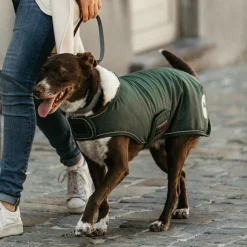 Sale Kentucky Dogwear - Manteau pour chiens Waterproof 300g Vert