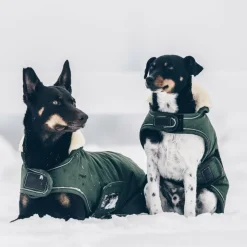 Sale Kentucky Dogwear - Manteau pour chiens Waterproof 300g Vert
