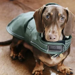 Sale Kentucky Dogwear - Manteau pour chiens Waterproof 300g Vert