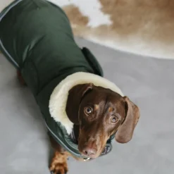 Sale Kentucky Dogwear - Manteau pour chiens Waterproof 300g Vert