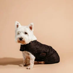 Outlet Kentucky Dogwear - Manteau pour chiens 160g Marron