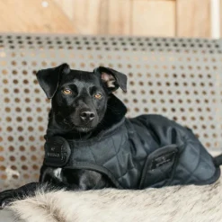 Kentucky Dogwear - Manteau pour chiens 160g Noir Outlet