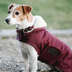 Kentucky Dogwear - Manteau pour chiens 160g Bordeaux