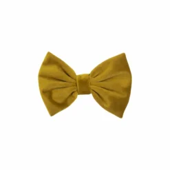 Kentucky Dogwear - Nœud papillon velvet moutarde Jaune