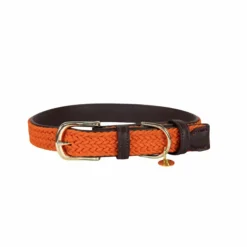 Online Kentucky Dogwear - Nylon tressé collier de chien Orange