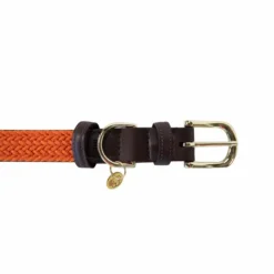 Online Kentucky Dogwear - Nylon tressé collier de chien Orange