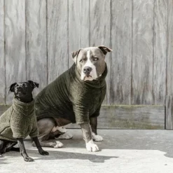 Kentucky Dogwear - Pull pour chien teddy fleece sapin 0g Vert