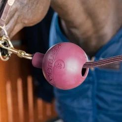 Online Kentucky Horsewear - Balle de protection d'attache Bordeaux