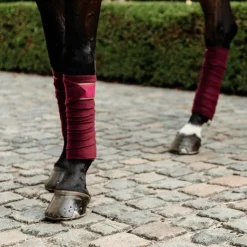 Kentucky Horsewear - Bandes de polo (x4) Bordeaux Clearance