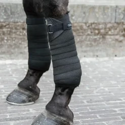 Kentucky Horsewear - Bandes de travail élastiques (x2) Noir New