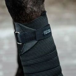 Kentucky Horsewear - Bandes de travail élastiques (x2) Noir New