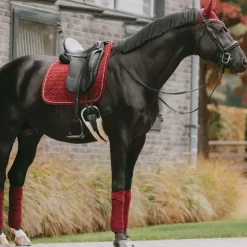 Best Kentucky Horsewear - Bonnet Wellington velvet Bordeaux