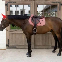 Online Kentucky Horsewear - Bonnet pour chevaux Wellington Velvet Printing check Rouge