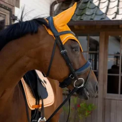 Sale Kentucky Horsewear - Bonnet pour chevaux Wellington Velvet Printing flags Orange