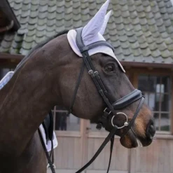 Clearance Kentucky Horsewear - Bonnet pour chevaux anti-bruits softshell / rose clair Violet