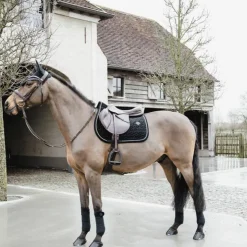 Best Kentucky Horsewear - Bonnet Wellington basic velvet Noir