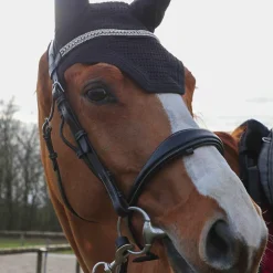 Clearance Kentucky Horsewear - Bonnet Wellington Noir