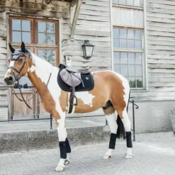 Kentucky Horsewear - Bonnet pour chevaux anti-bruits Wellington Velvet Pearls Noir Sale