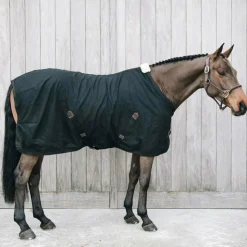 New Kentucky Horsewear - Chemise coton 0g Noir