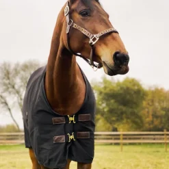 New Kentucky Horsewear - Chemise coton 0g Noir