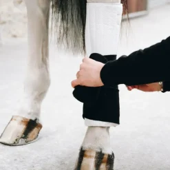 Clearance Kentucky Horsewear - Cotons de travail pad absorb / blanc (x4) Noir