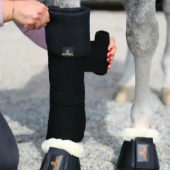 Kentucky Horsewear - Cotons américains (x4) Noir Sale