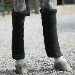 Kentucky Horsewear - Cotons américains (x4) Noir Sale