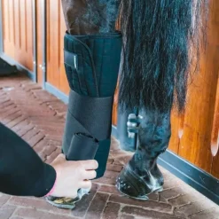 Kentucky Horsewear - Coton Stable Bandage Wraps (x4) Noir