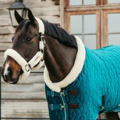 Kentucky Horsewear - Couverture de présentation velvet émeraude 160g Bleu