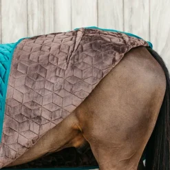 Kentucky Horsewear - Couverture de présentation velvet émeraude 160g Bleu