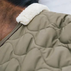 Kentucky Horsewear - Couure polaire Transport Combo Cooler Fleece sapin Vert Sale