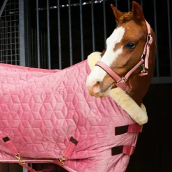New Kentucky Horsewear - Couverture de présentation velvet vieux pour minis 160g Rose