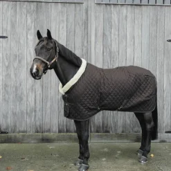 Kentucky Horsewear - Couverture de présentation 160g Marron Sale