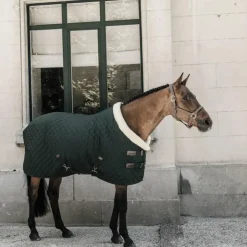New Kentucky Horsewear - Couure de présentation 160g Vert