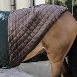 New Kentucky Horsewear - Couure de présentation 160g Vert