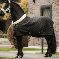 Hot Kentucky Horsewear - Couverture de présentation 160g Noir