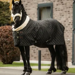 Hot Kentucky Horsewear - Couverture de présentation 160g Noir