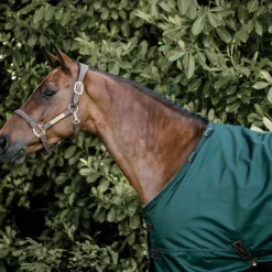 Kentucky Horsewear - Couure d'extérieur all weather imperméable 160g Vert Online