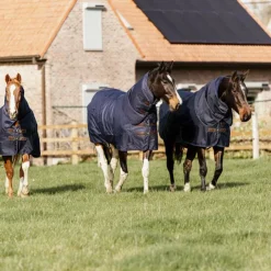 New Kentucky Horsewear - Couverture d'extérieur Turnout all weather 0g Marine
