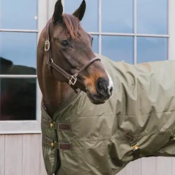 Hot Kentucky Horsewear - Couure d'extérieur All Weather waterproof Pro kaki 160g Vert