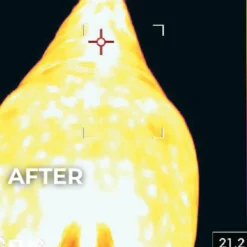 Kentucky Horsewear - Couverture Magnetic Recuptex pour Minis Marine Outlet