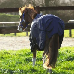 Online Kentucky Horsewear - Couverture d’extérieur pour minis 0g Marine
