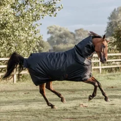 Kentucky Horsewear - Couverture d'exterieur 300g Marine