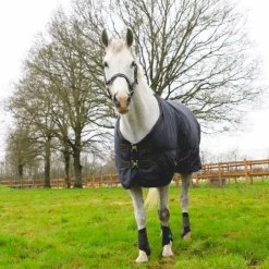 Kentucky Horsewear - Couverture d'extérieur all weather hurricane 0g Marine Best