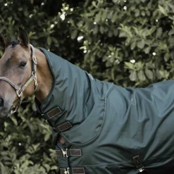 Clearance Kentucky Horsewear - Couvre-cou all weather imperméable pro Weather vert 150g