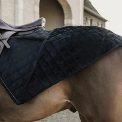 Best Kentucky Horsewear - Couvre-reins 160g Noir